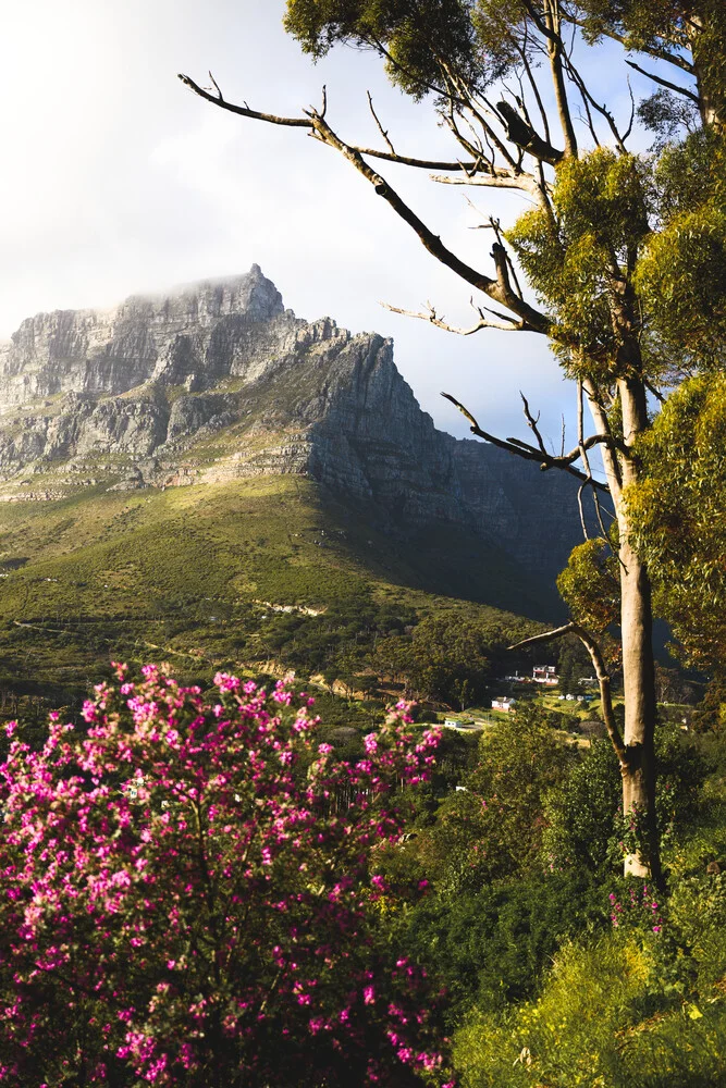 Table Mountain - Fineart photography by Kristof Göttling