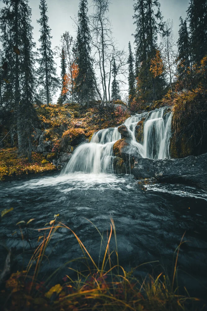 Fairytale forest - Fineart photography by Kristof Göttling