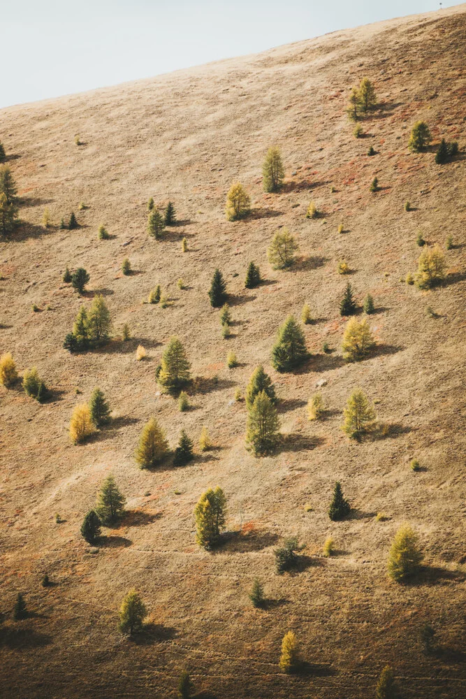 SIGNS OF FALL. - Fineart photography by Philipp Heigel