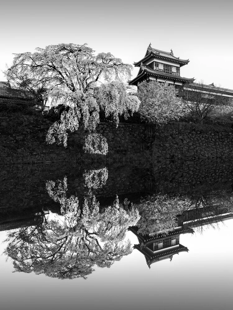 Sakura Koriyama | Japan - fotokunst von Ronny Behnert