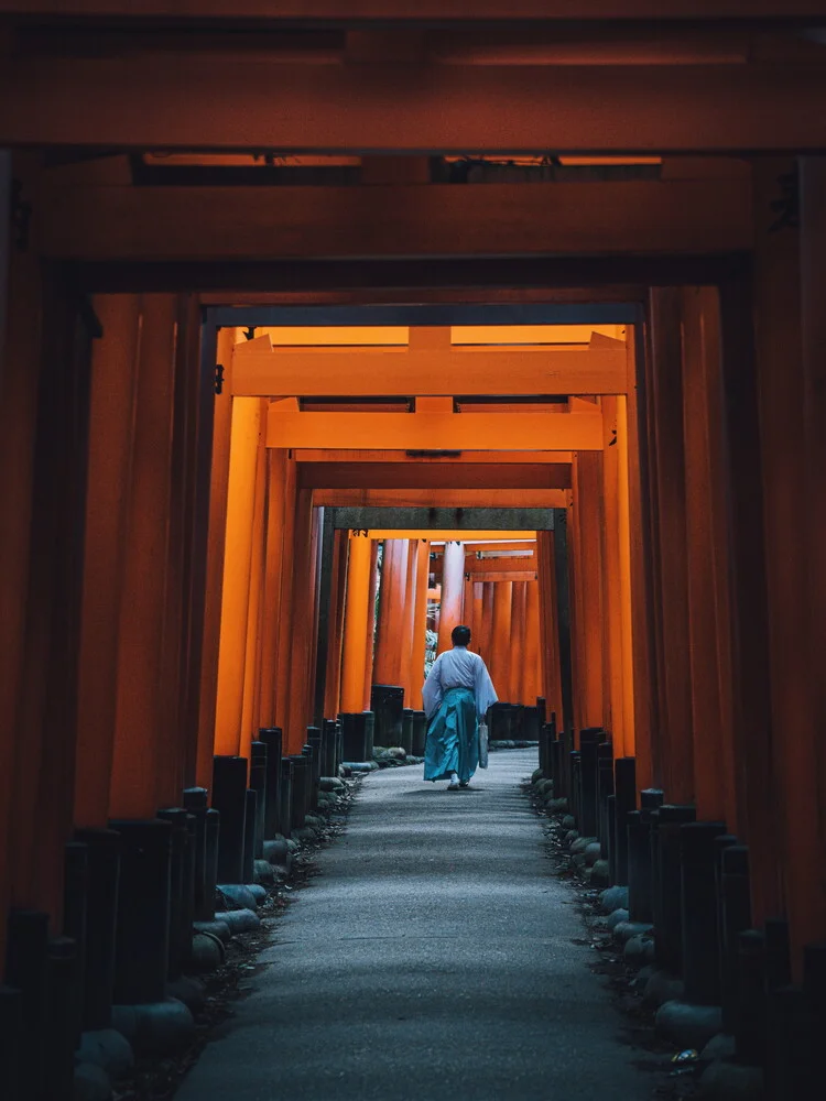 Torri walks - Fineart photography by André Alexander