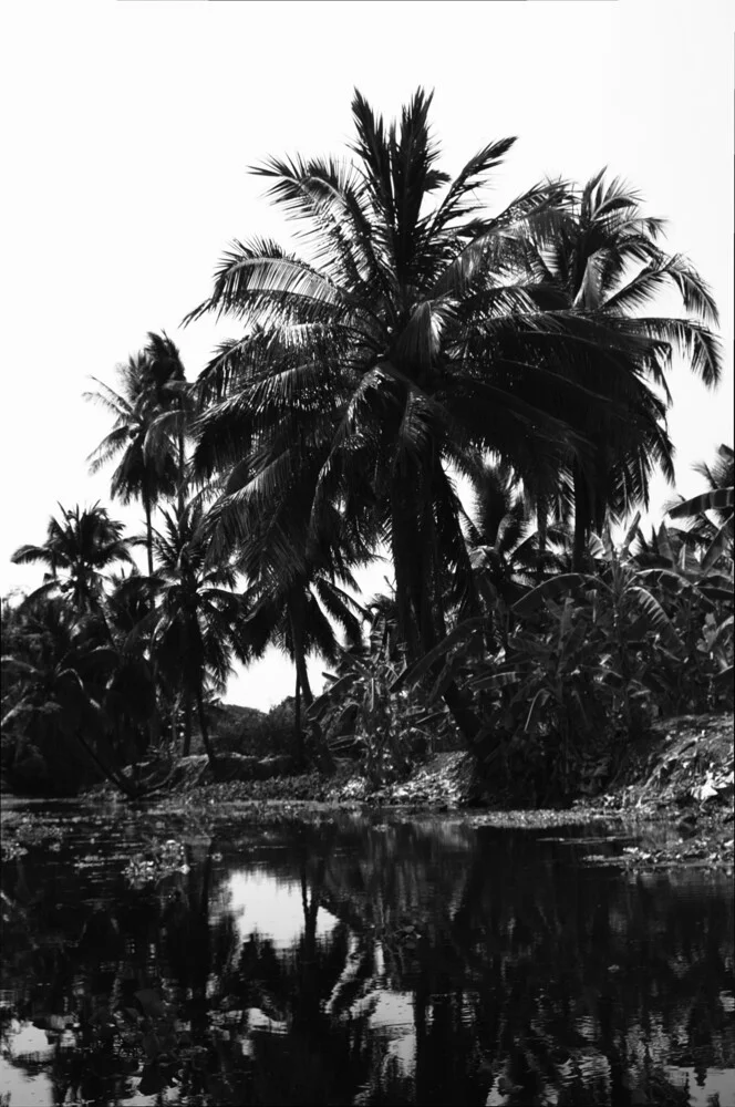 Floating Market – Palmenpracht am Kanal (S/W) - Fineart photography by Daniela Dirscherl