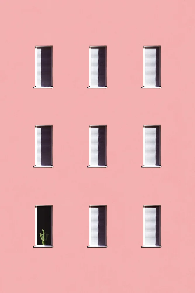 Sunbathing Cactus - fotokunst von Rupert Höller