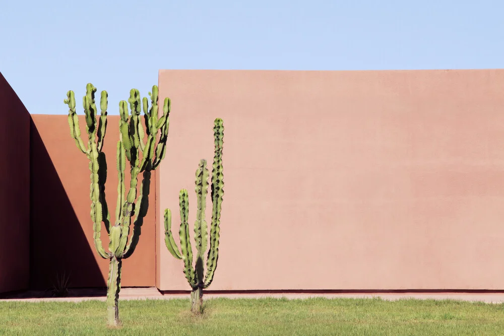 Cactus Brothers - fotokunst von Rupert Höller