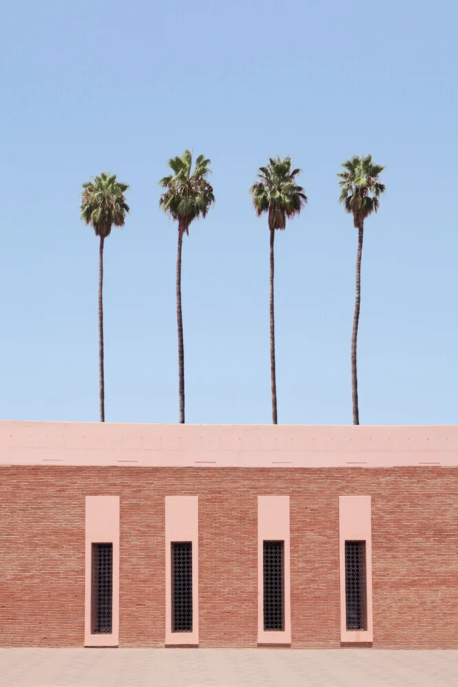 Palm Tree Factory - fotokunst von Rupert Höller