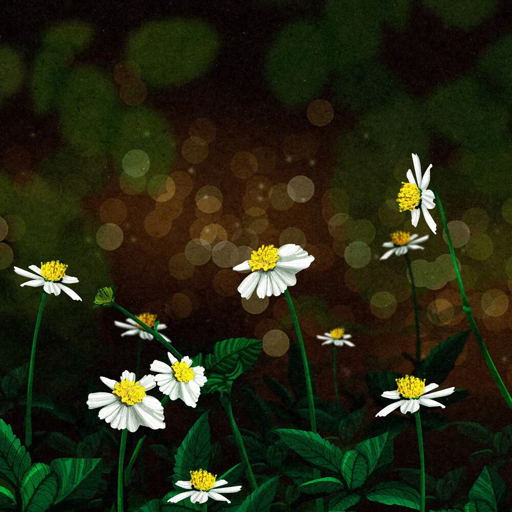 White Flowers - fotokunst von Katherine Blower