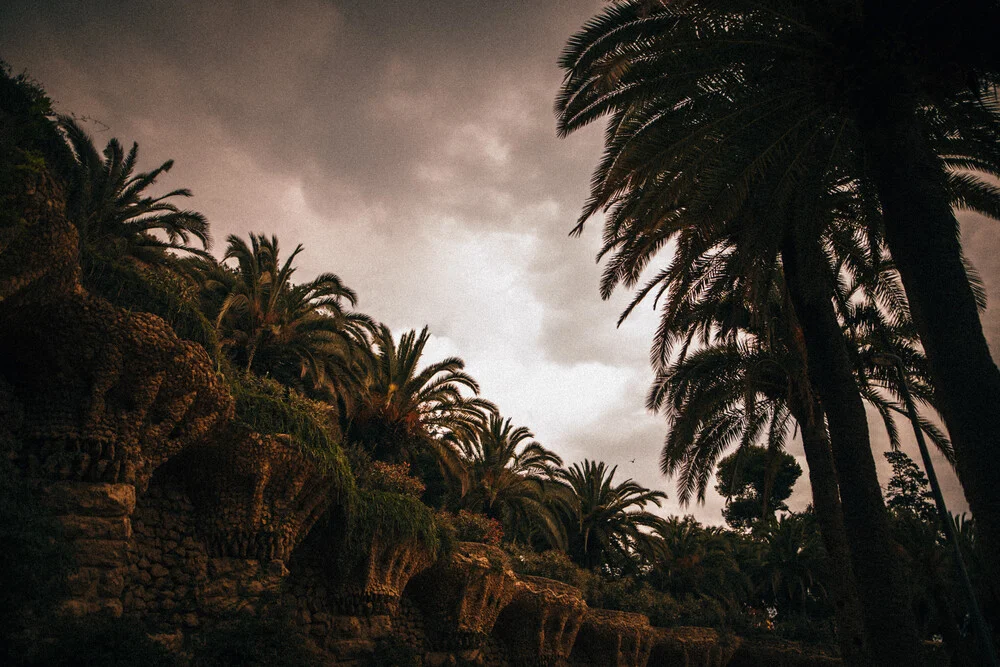 Palm trees right before a thunderstorm - Fineart photography by Marco Leiter