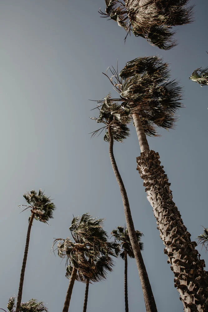 PALMEN, STRAND UND MEHR - fotokunst von Jasmin Hertrich