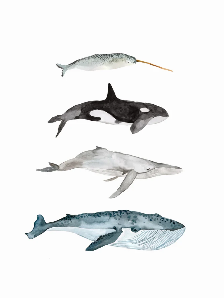 Sea Life - Whales - fotokunst von Christina Wolff