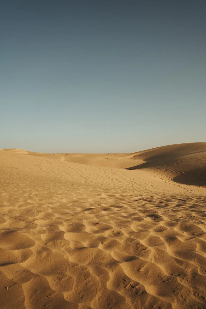 Thar Desert | Spuren im Sand - fotokunst von David Wurth