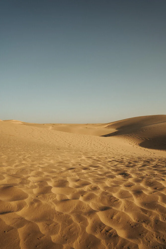 Thar Desert | traces in the sand - Fineart photography by David Wurth