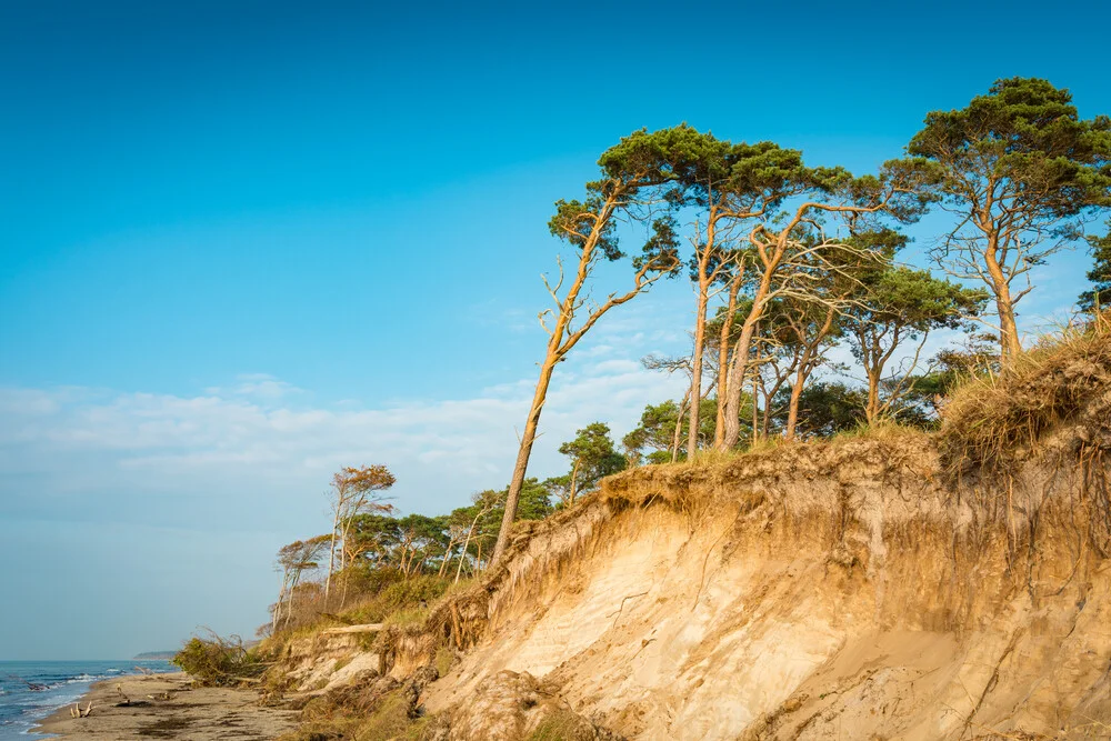 Wild Baltic Beach - Fineart photography by Martin Wasilewski