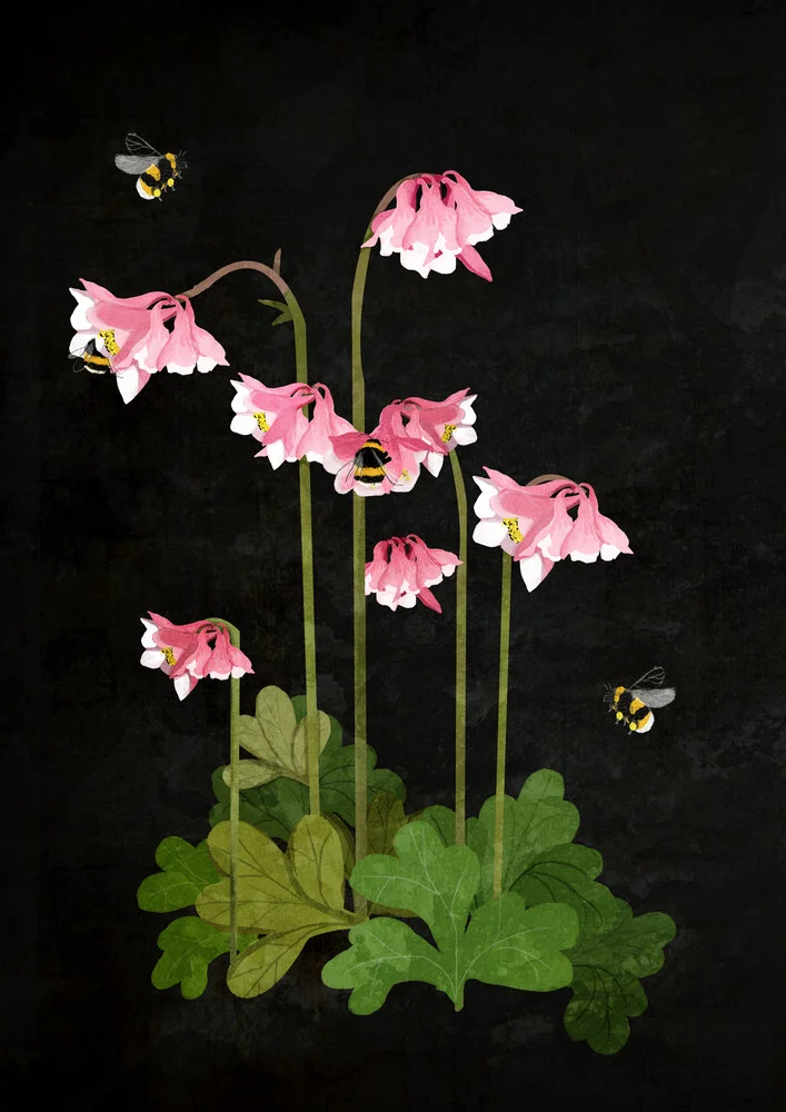 Bumble Bees - fotokunst von Katherine Blower