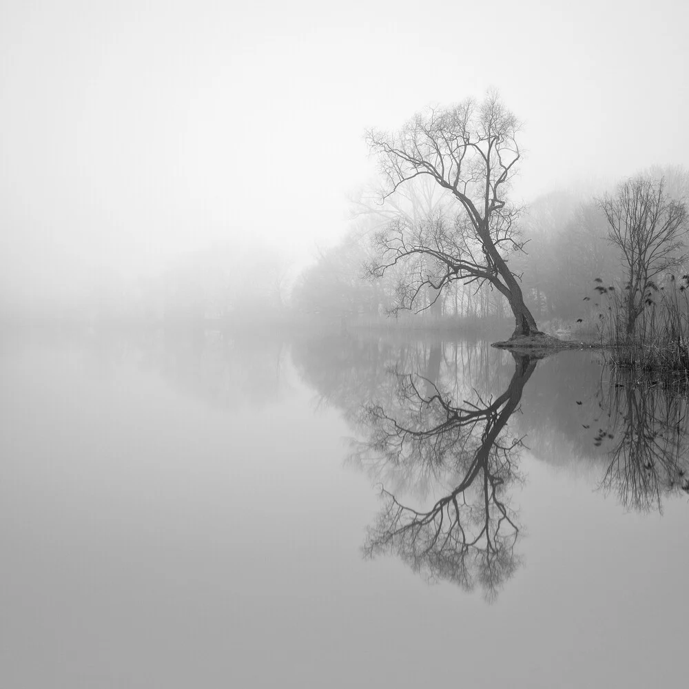 Stillstand - Einsamer Baum - fotokunst von Thomas Wegner