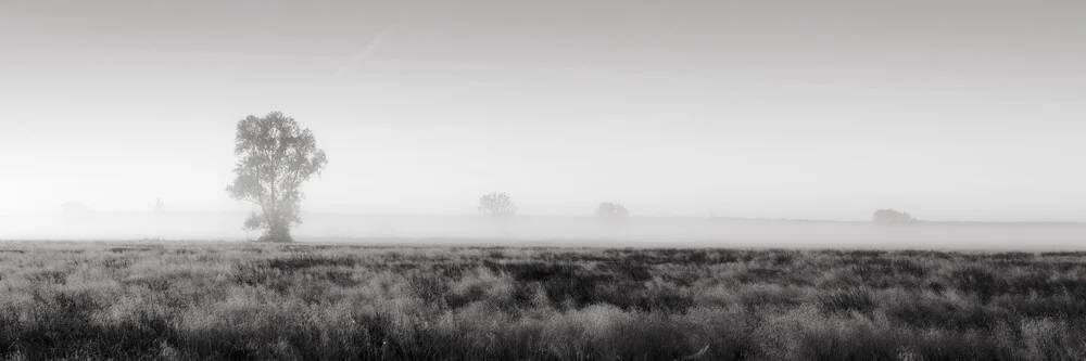 Herbstlandschaft in Brandenburg - fotokunst von Thomas Wegner