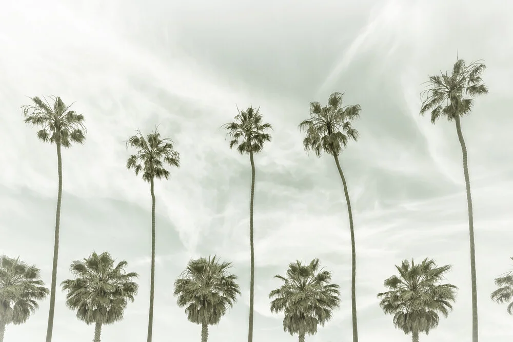 Vintage Palm Trees - Fineart photography by Melanie Viola