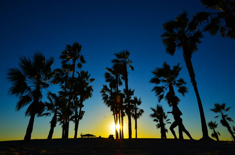 Sonnenuntergang in Palmenschatten - fotokunst von Michael Brandone