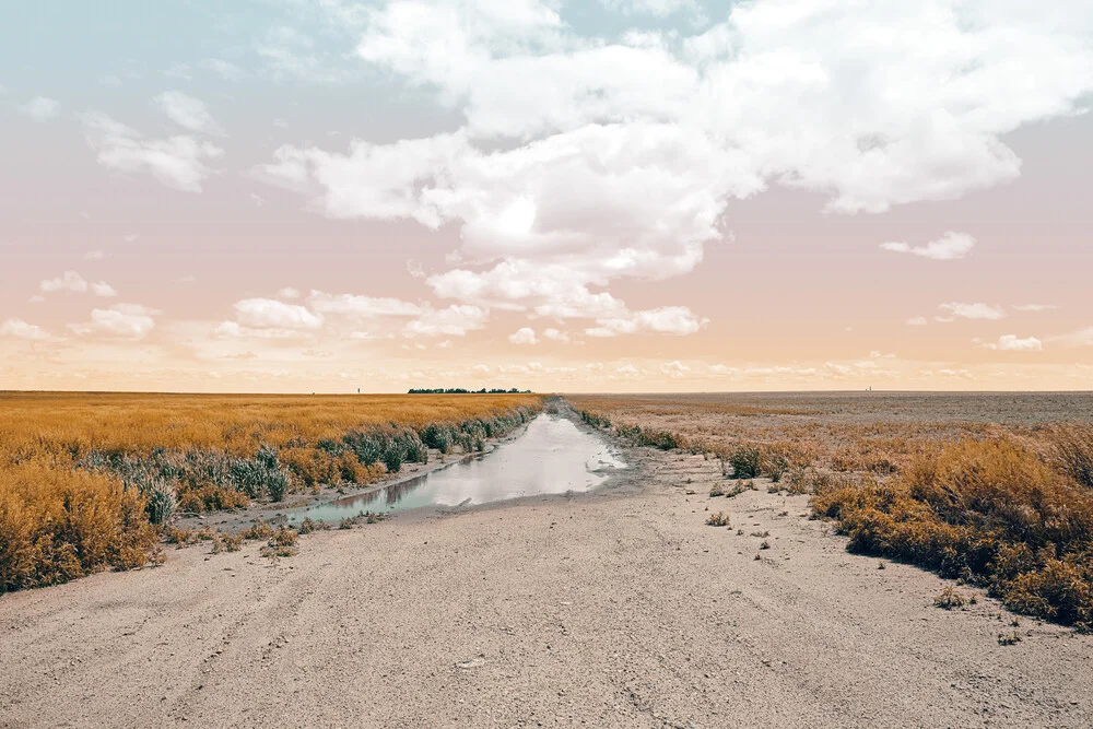 Heartland's Horizon - fotokunst von Matt Taylor