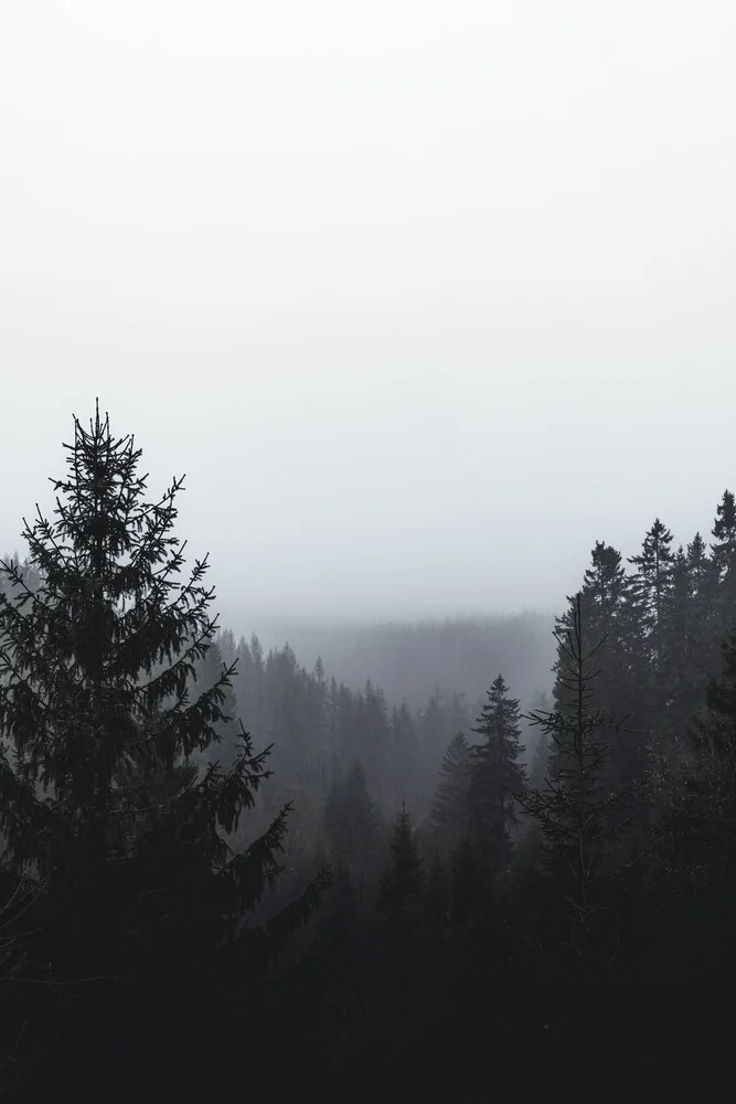Nebliger Wald - fotokunst von Sebastian Wilczewski