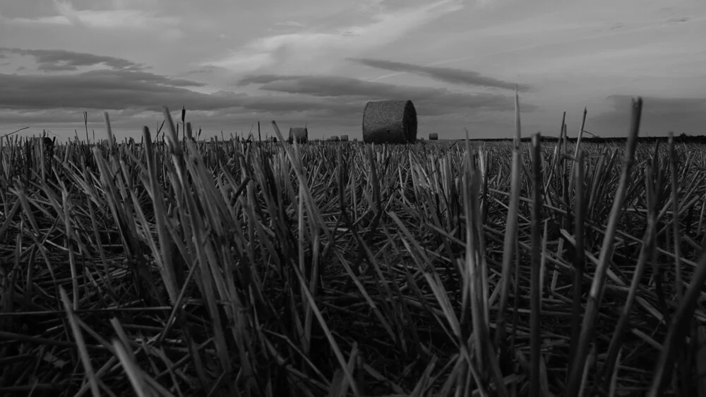 Heuballen - fotokunst von Michael Brandone