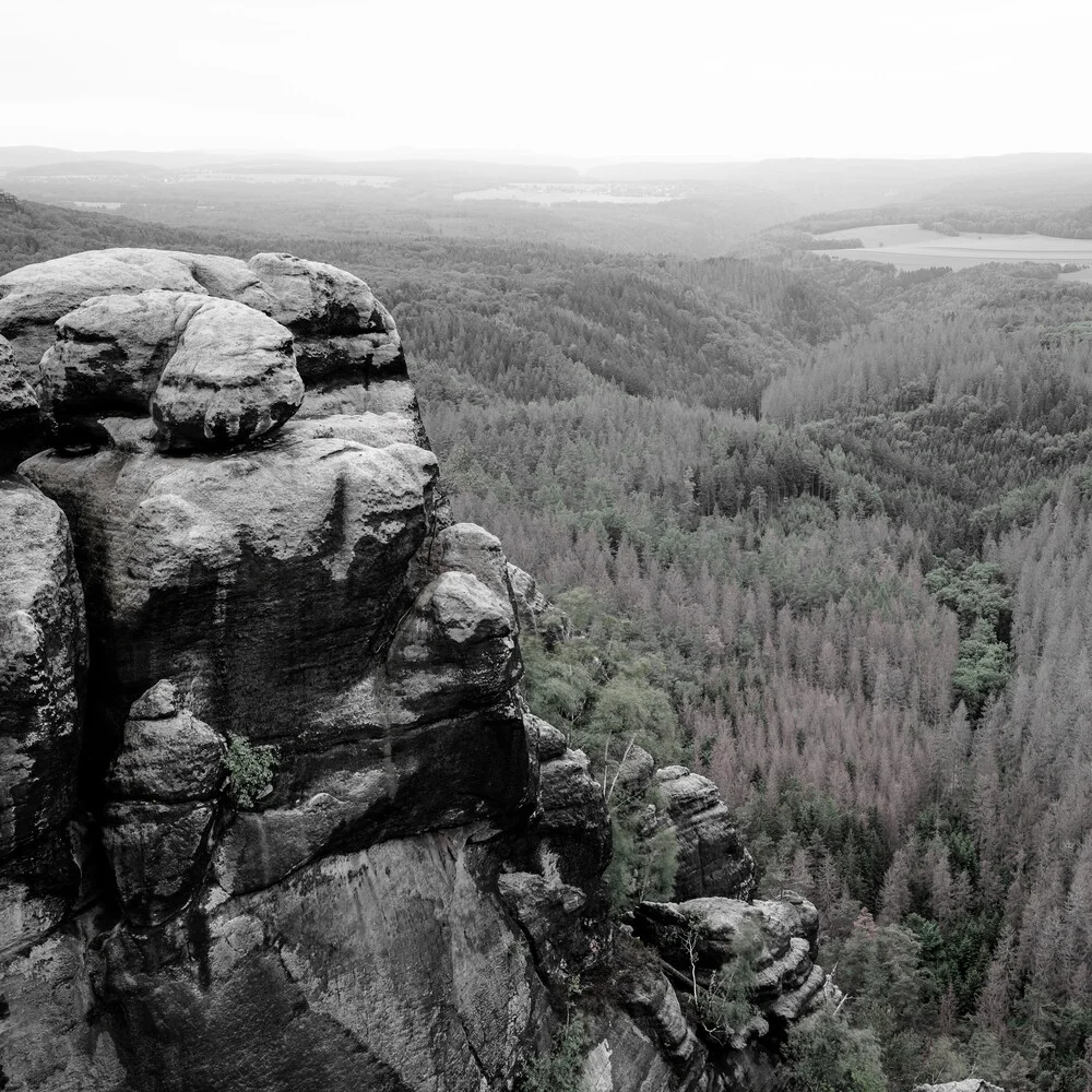 Verwunschene Landschaft des Elbsandsteingebirges - fotokunst von Dennis Wehrmann