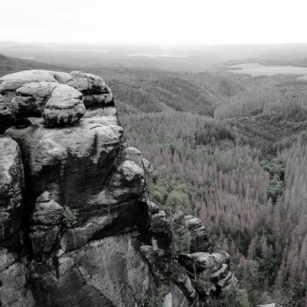 Enchanted landscape elbe sandstone mountains - Fineart photography by Dennis Wehrmann