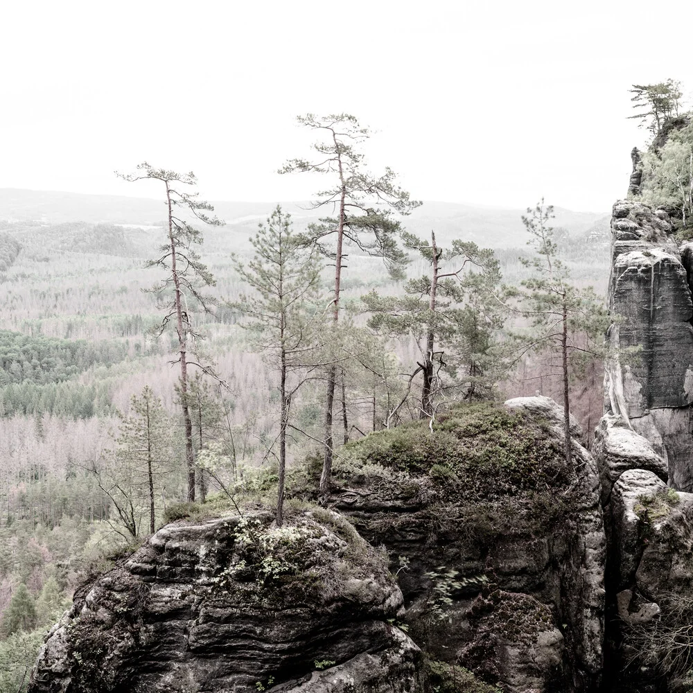 Enchanted landscape elbe sandstone mountains - Fineart photography by Dennis Wehrmann
