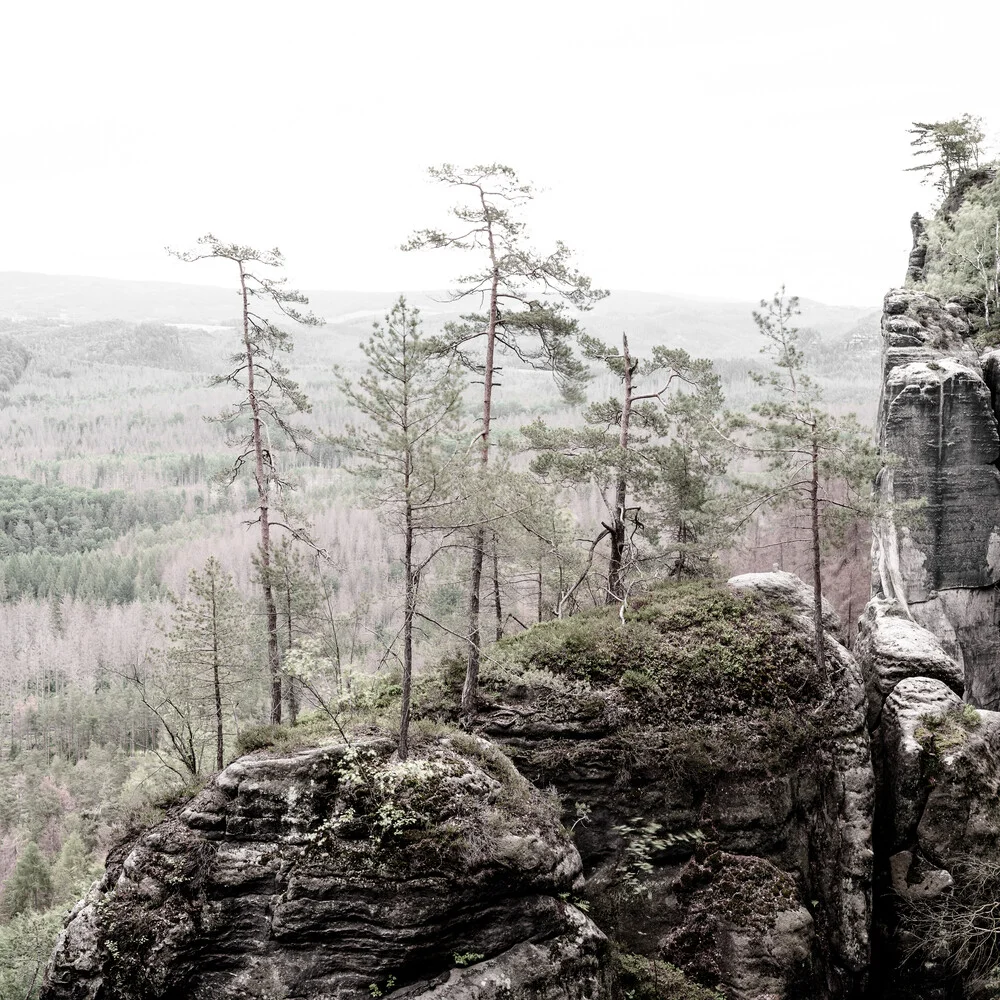 Verwunschene Landschaft des Elbsandsteingebirges - fotokunst von Dennis Wehrmann