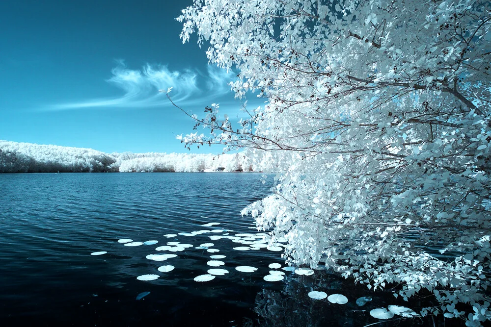 Heiderbergsee IR - fotokunst von Darius Ortmann