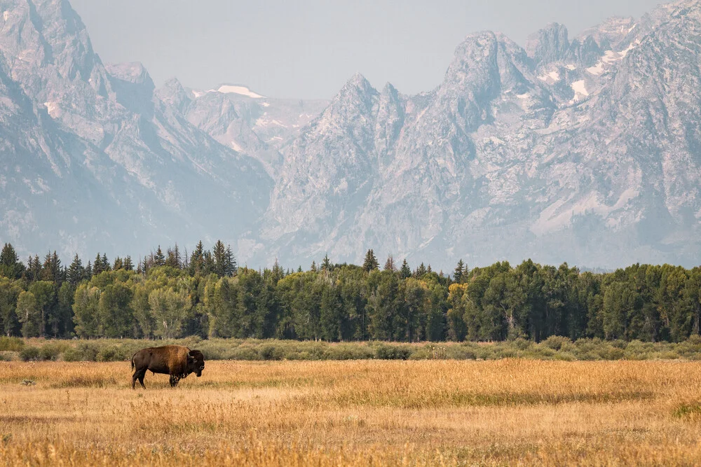 grand teton - fotokunst von Christoph Schaarschmidt