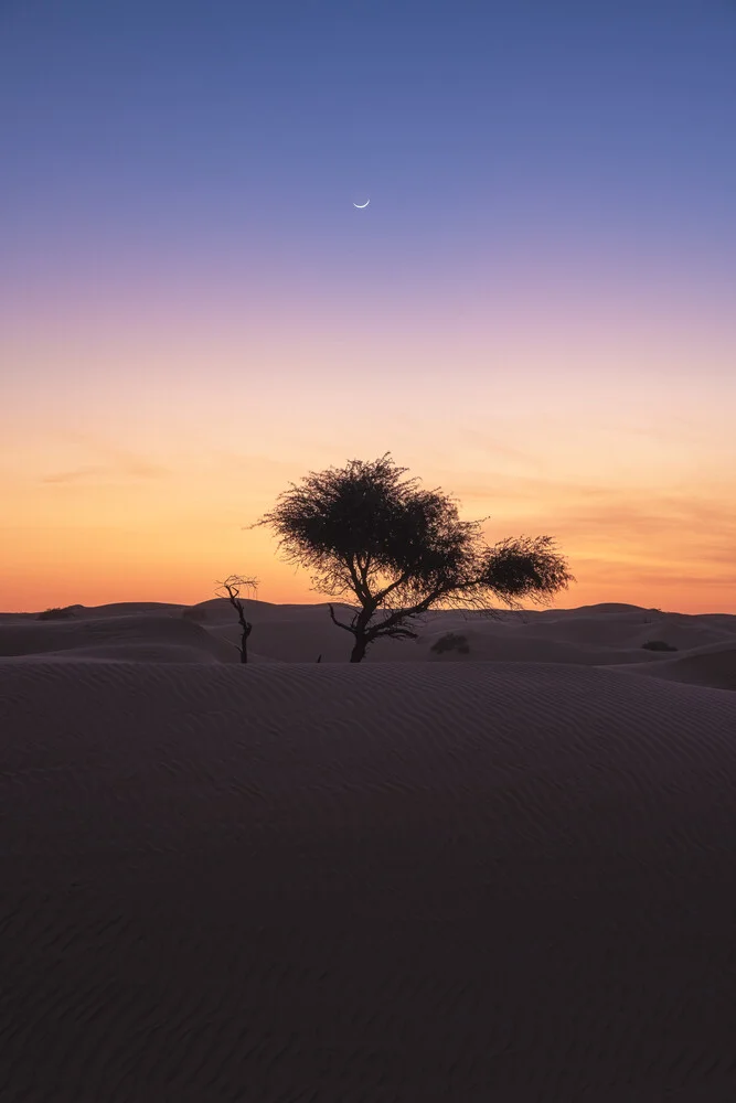 Monduntergang in der Wüste Omans - fotokunst von Jean Claude Castor