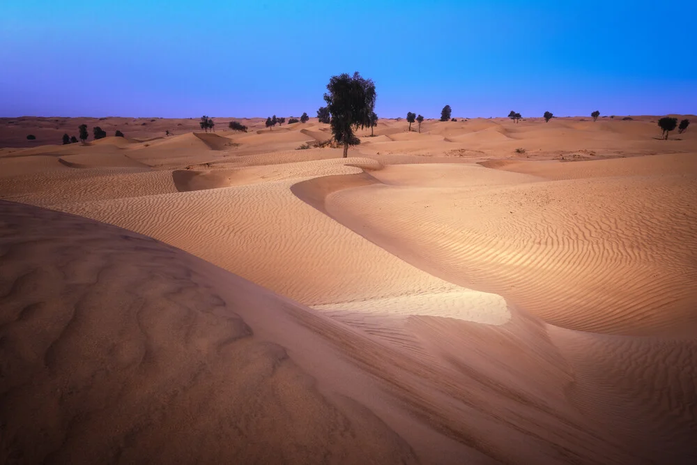 Wahiba Sands Wüste in Oman zur blauen Stunde - fotokunst von Jean Claude Castor