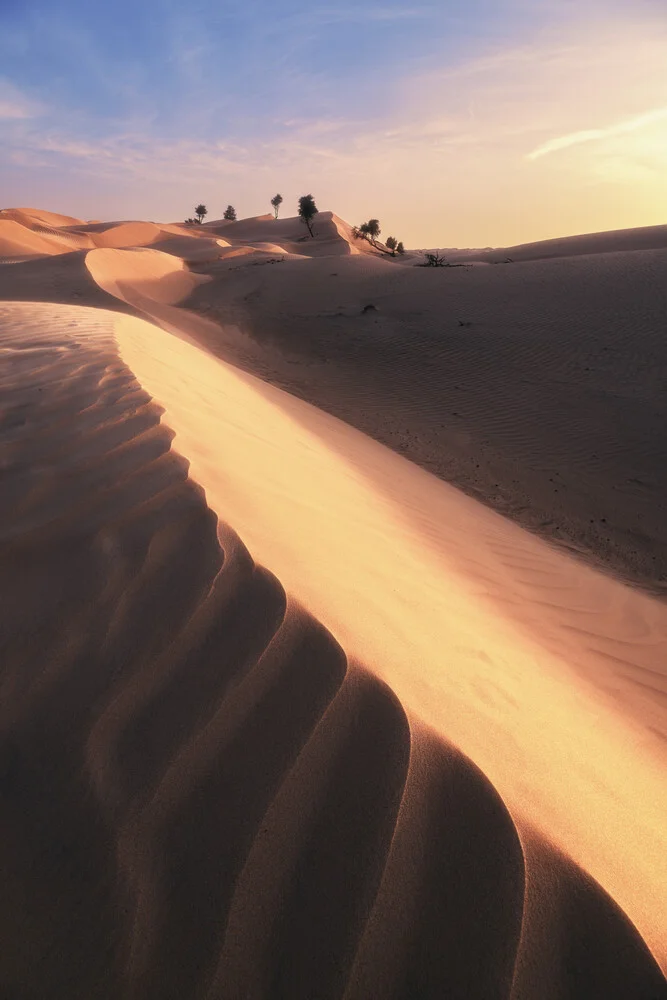 Wahiba Sands Wüste in Oman bei Sonnenuntergang - fotokunst von Jean Claude Castor