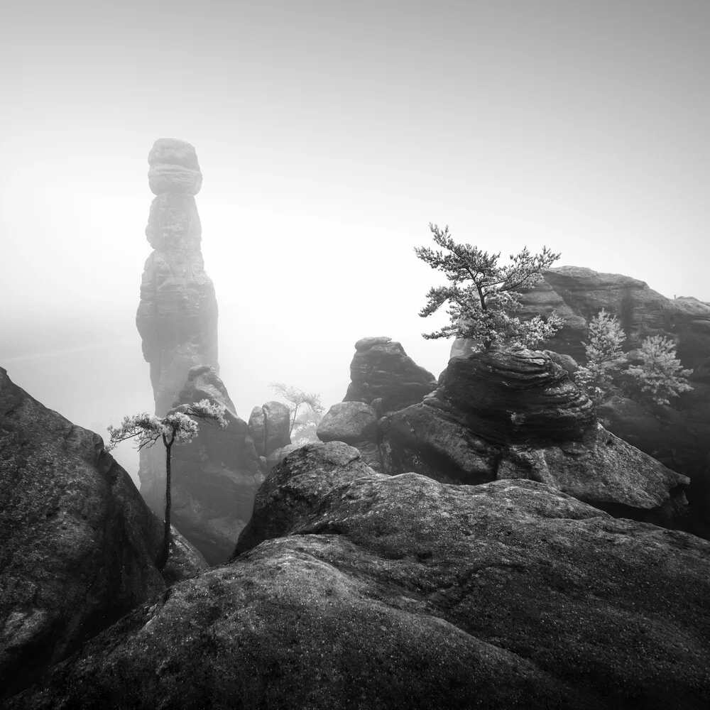 Barbarine III | Elbsandsteingebirge - fotokunst von Ronny Behnert