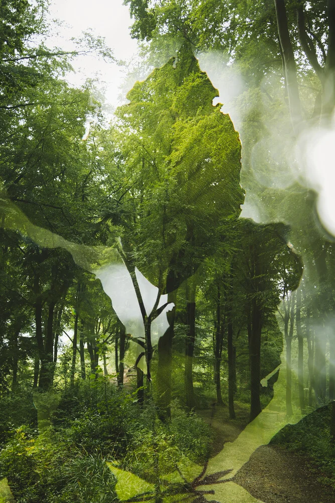 Sommer im Teutoburger Wald - fotokunst von Nadja Jacke