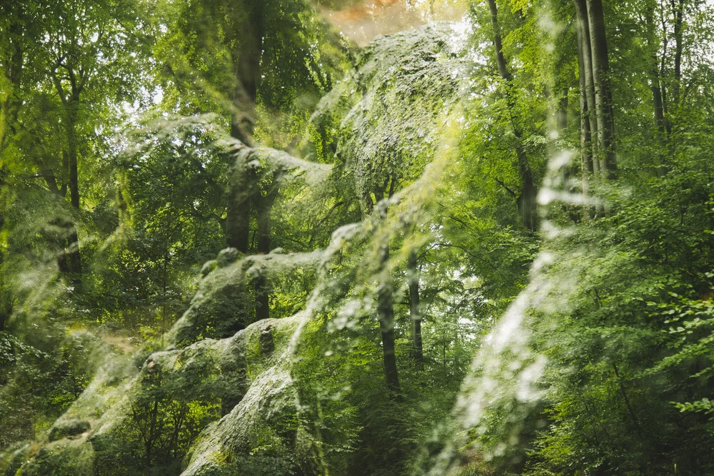 Sommer im Teutoburger Wald - fotokunst von Nadja Jacke