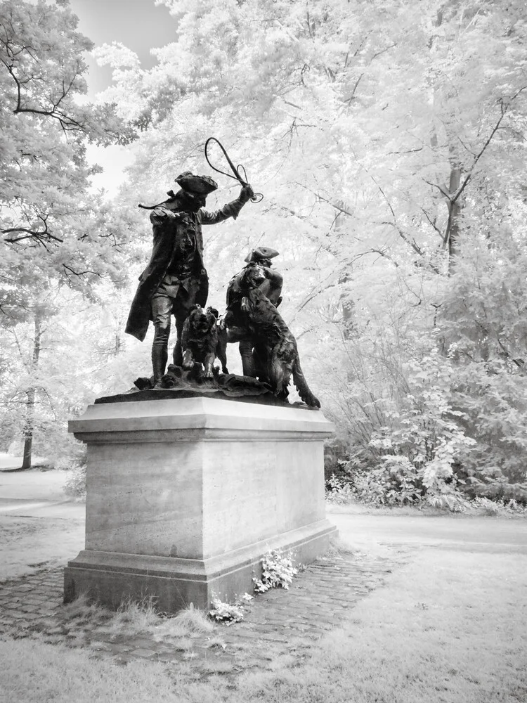 Tiergarten - Study 6 | Berlin - fotokunst von Ronny Behnert