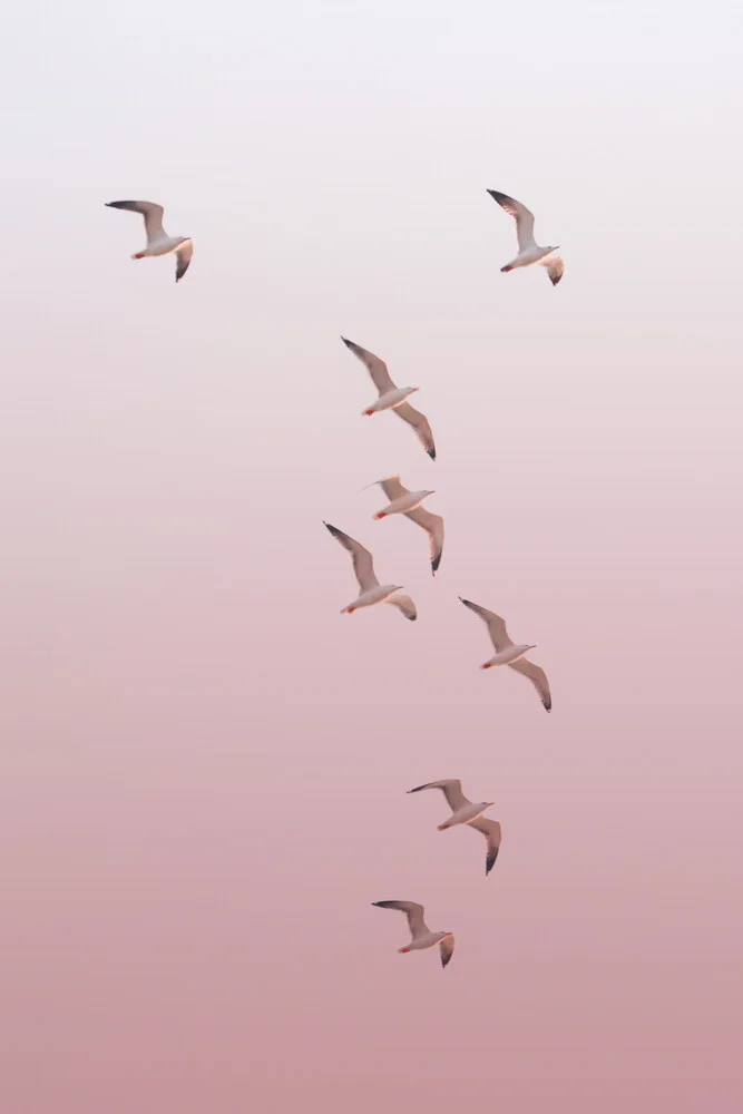 Birds in the Sky - fotokunst von Victoria Frost