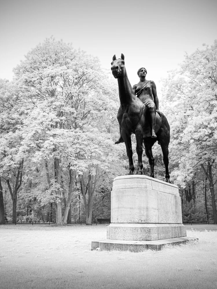 Tiergarten Study 8 - Amazone - fotokunst von Ronny Behnert