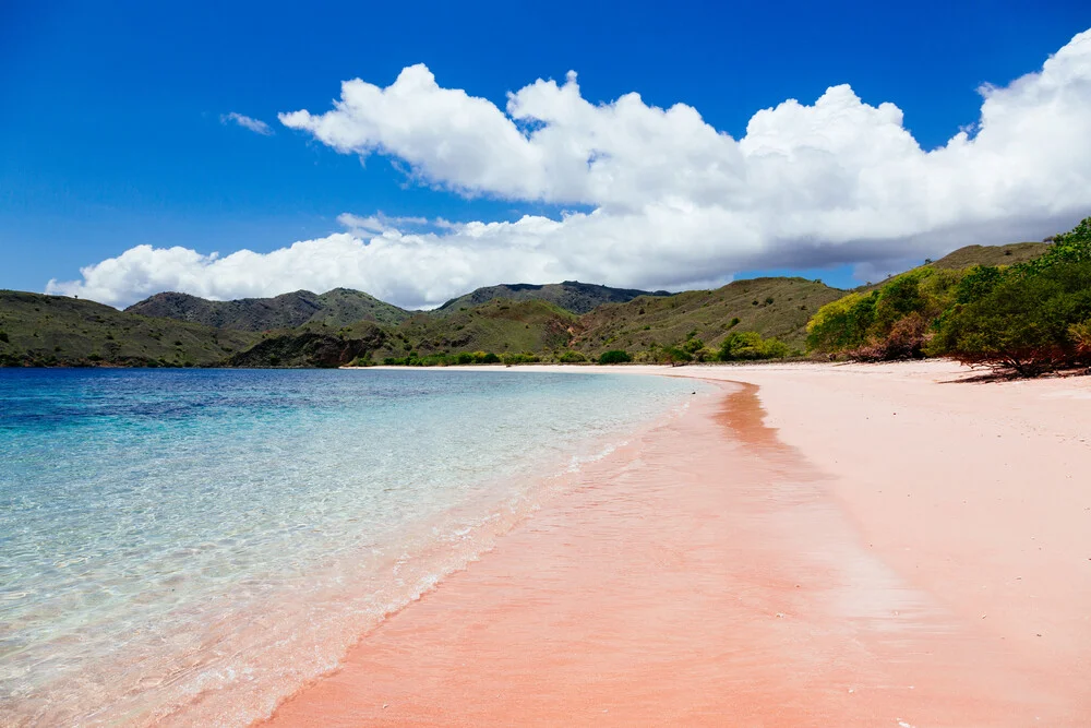 PINK BEACH - fotokunst von Lars Brauer