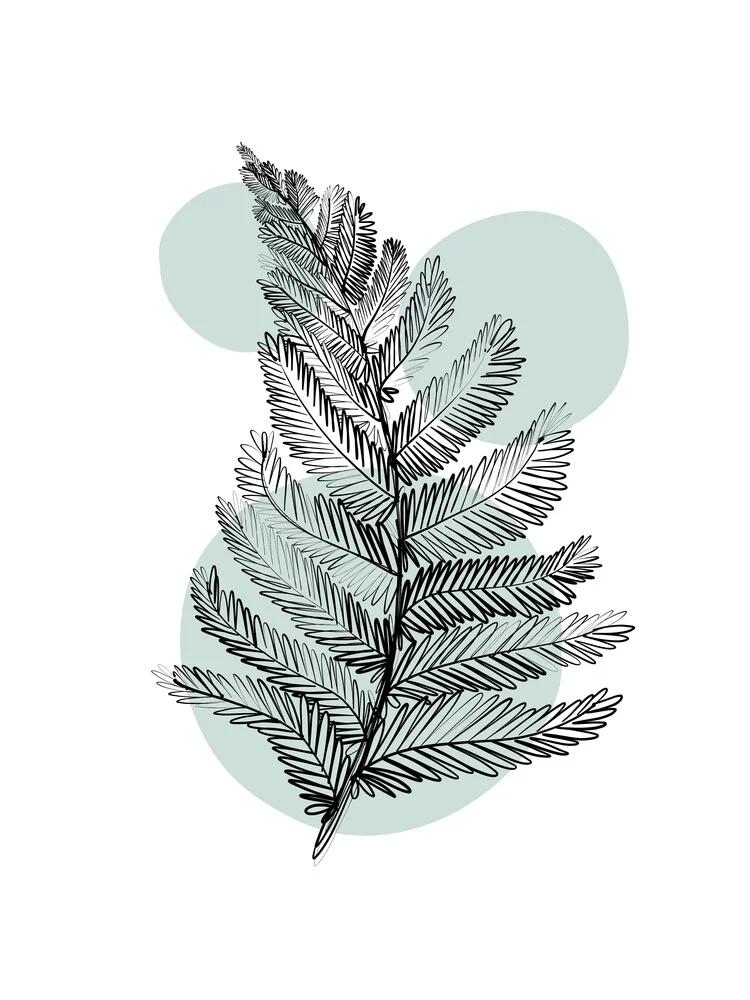 Delicate Botanicals Fern by Alina Buffiere - Fineart photography by The Artcircle