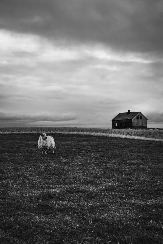 Minimalismus - fotokunst von Max Saeling