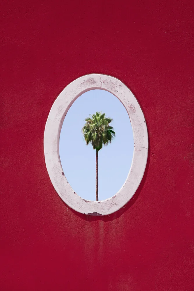 Palm Tree Portrait - fotokunst von Rupert Höller