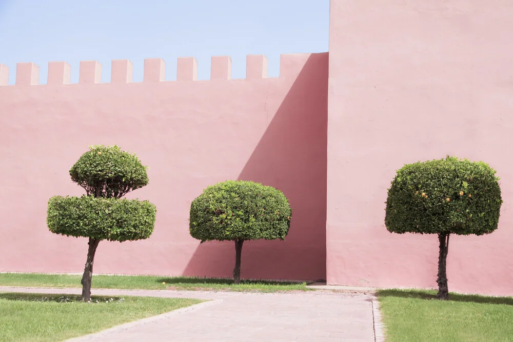 Three Trees - fotokunst von Rupert Höller