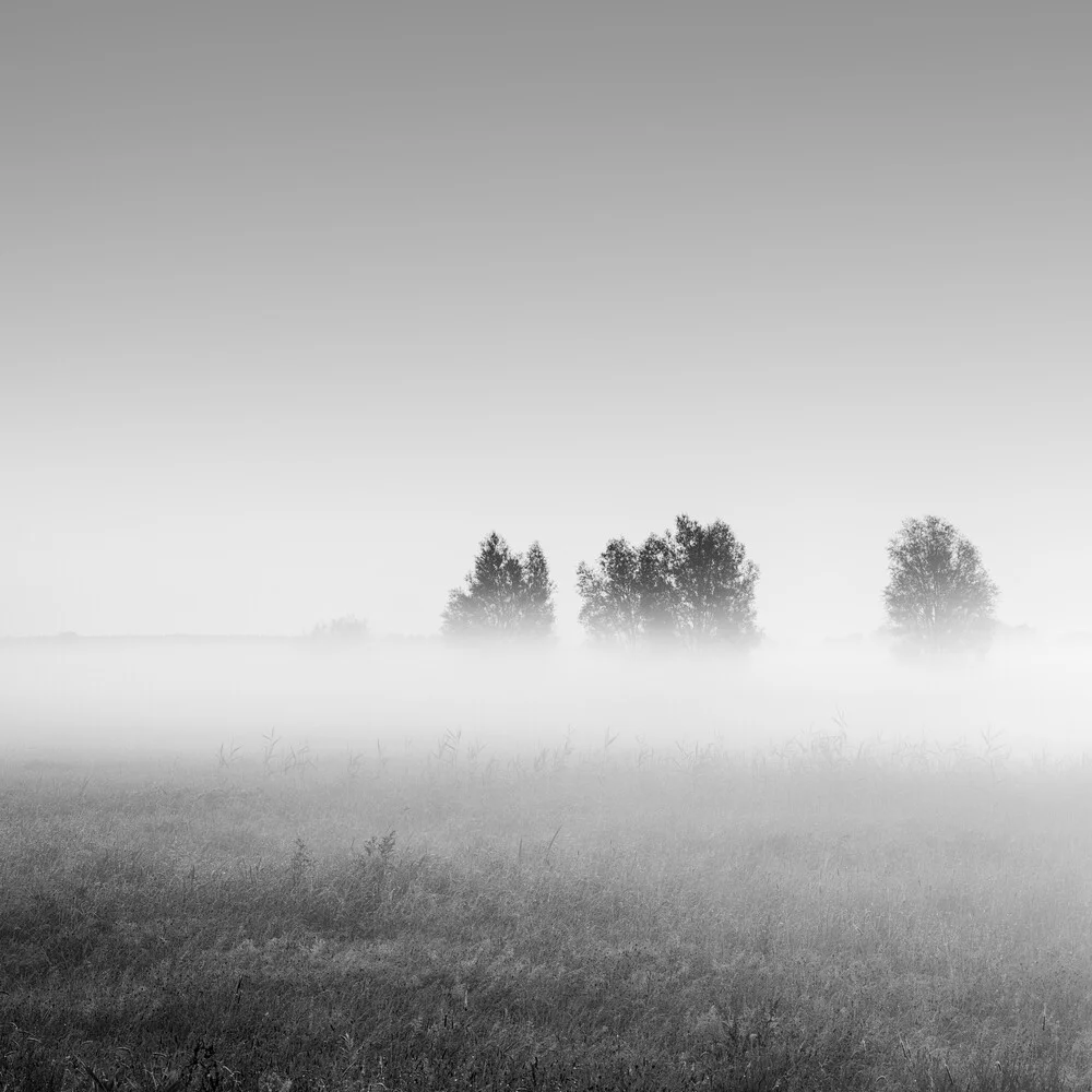 Beginning of a summer day - Fineart photography by Thomas Wegner