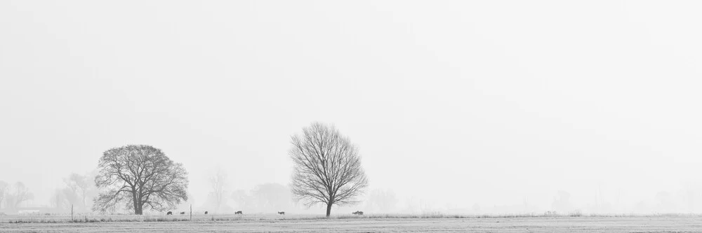 Where the Rabbits sleep tonight - fotokunst von Thomas Wegner