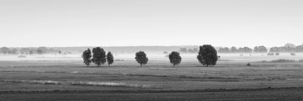 Naturpark Westhavelland - fotokunst von Thomas Wegner