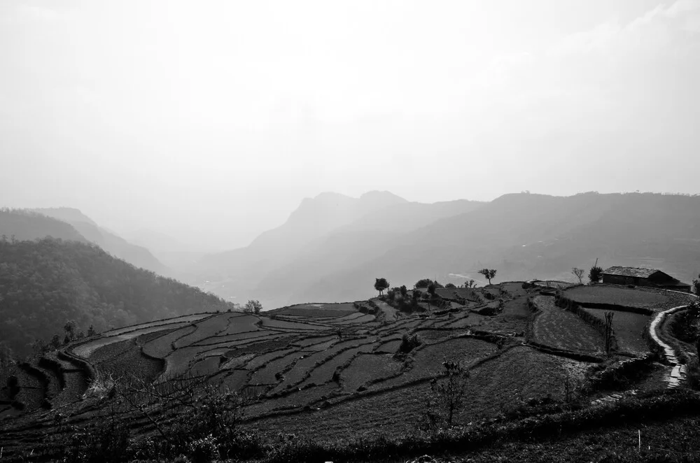 Rice Terrace - fotokunst von Marco Entchev