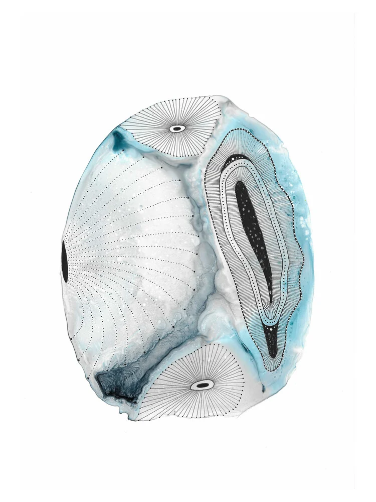 Ocean Shells von Katherine Heald - fotokunst von The Artcircle