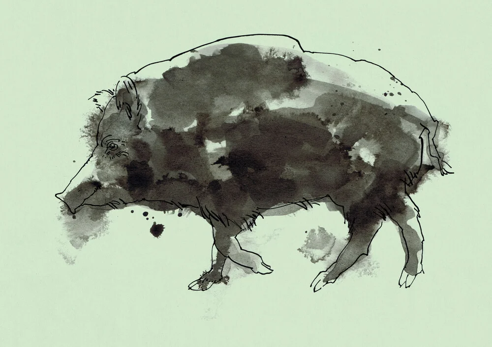 Wildschwein - fotokunst von Sabine Israel